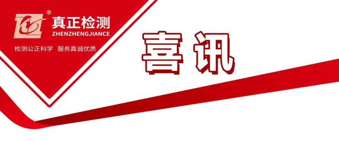 立行业标杆，再获省级表彰！ 广东真正工程检测公司荣获“先进单位”称号
